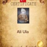 aliula-11